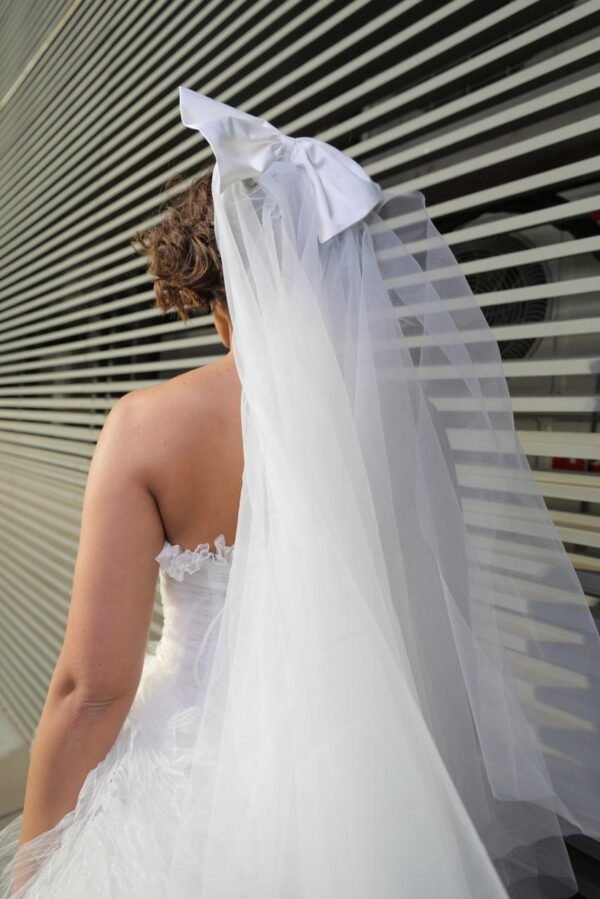 Veil Accessories